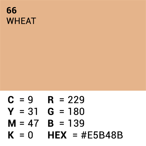 Überlegener Hintergrundpapier 66 Weizen 1,35 x 11 m