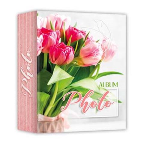 ZEP AV46100 album Slip-in 100 photos 10x15 cm 24 albums