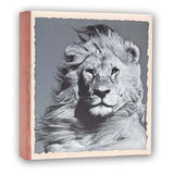 ZEP WL57100 Album Slip -in 100 photos 13x19 cm - 12 albums