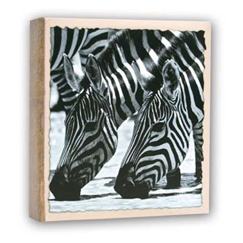 ZEP WL57100 Album Slip -in 100 photos 13x19 cm - 12 albums