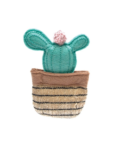 Fofos Cactus CancUn