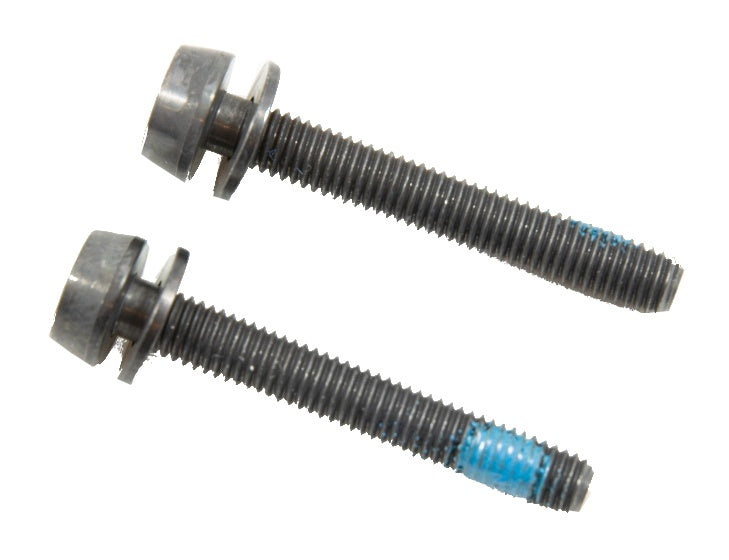 Campagnolo -Bolzen für die Scheibenbremsklaue hinter 39 mm 2 Teilen